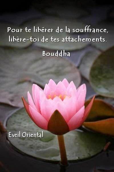 Libere toi bouddha